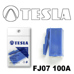 Предохранители Tesla Предохранитель картриджного типа FJ07 100А | Артикул FJ07100A