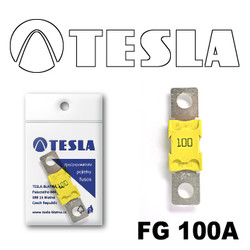 Предохранители Tesla Предохранитель MEGA 100A | Артикул FG100A