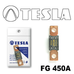 Предохранители Tesla Предохранитель MEGA 450A | Артикул FG450A